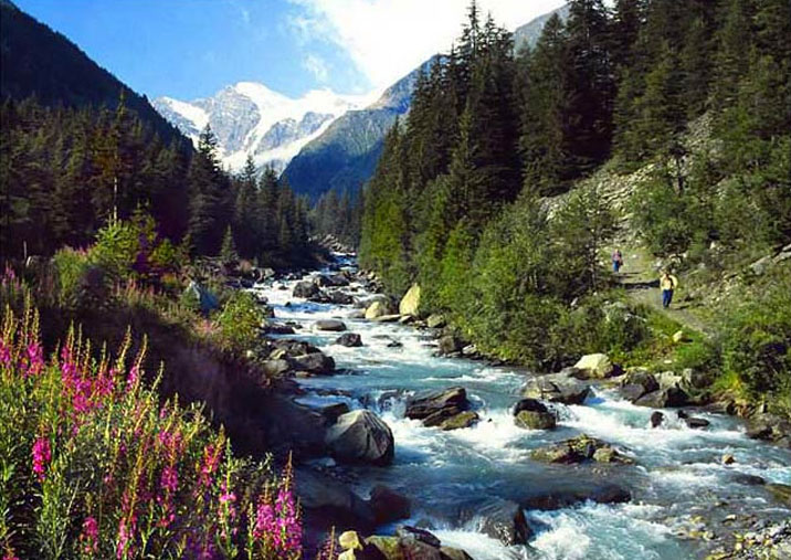 gran paradiso