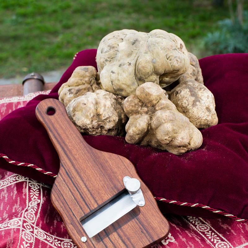 tartufo