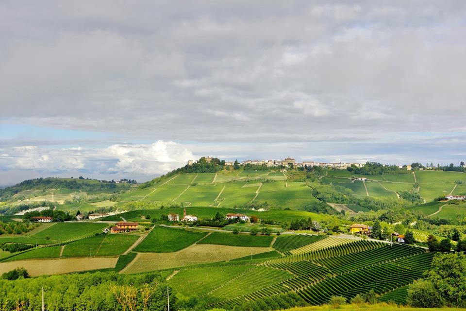 Novello visto da Monforte